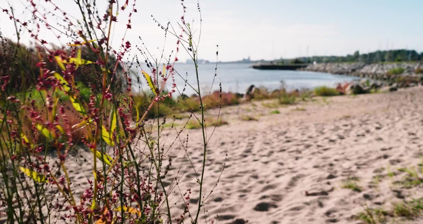 Sandstrand am Strelasund